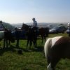 Rajd Minoga 2015